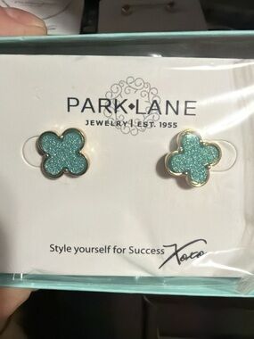 Park Lane Teal Starburst Earrings